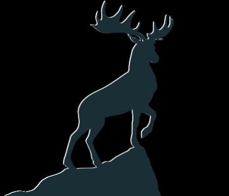 Moose on a rock overlooking nature