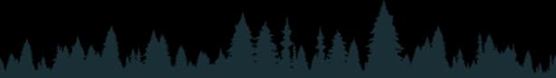 Forest skyline